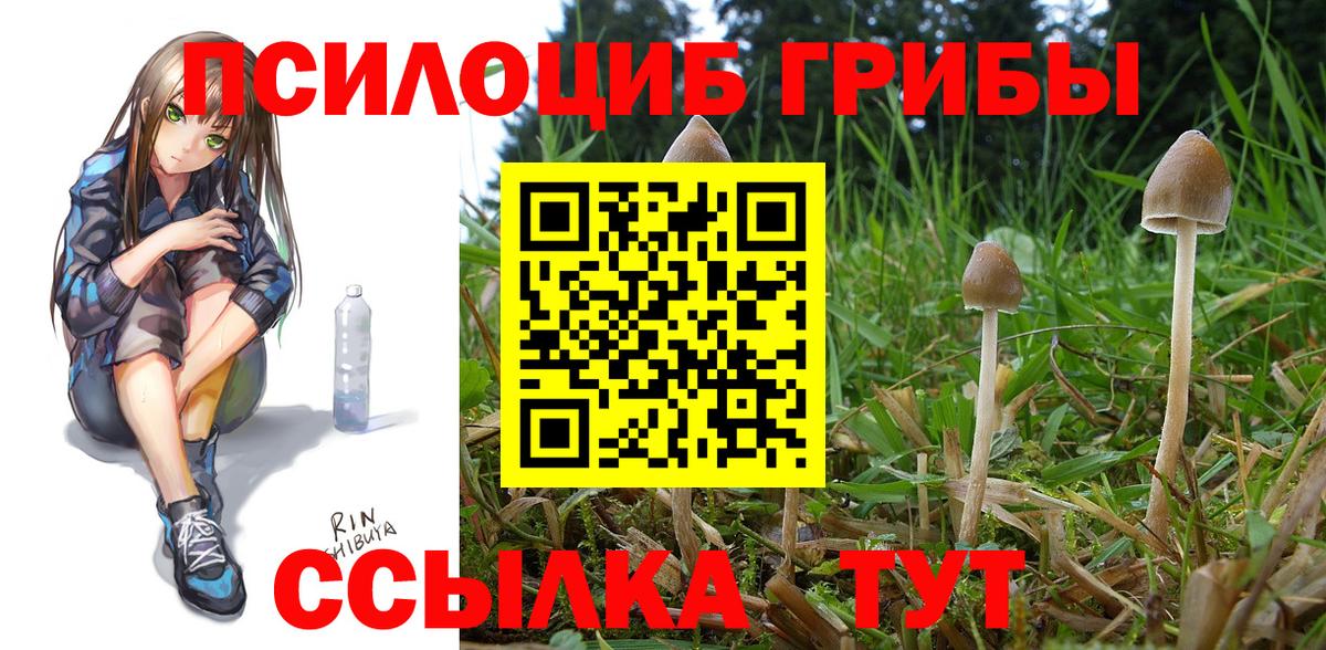 Псилоцибиновые грибы MAGIC MUSHROOMS Гуково