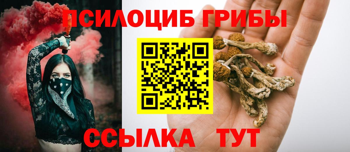 Гуково  Псилоцибиновые грибы Magic Shrooms  Вход с VPN  где продают наркотики  Галлюциногенные грибы мицелий 